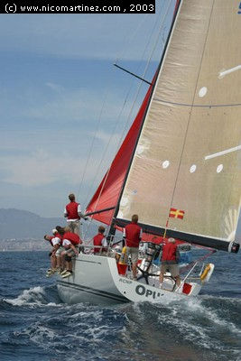 2003 - OPUS - 8 