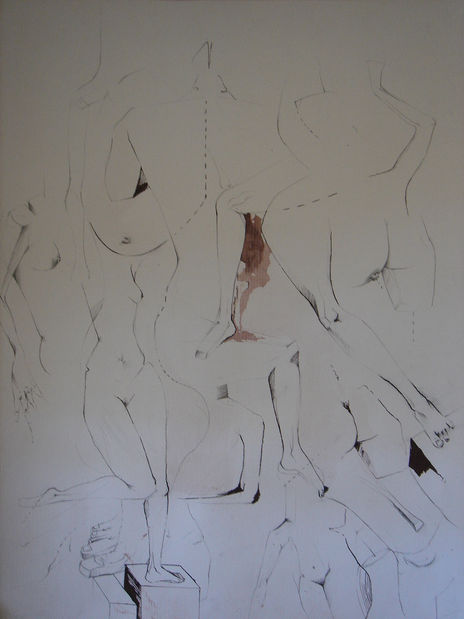 "estudio anatomia 2"