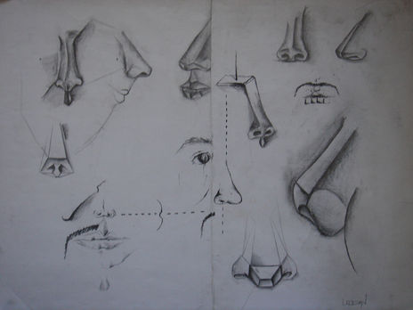 "estudio nariz"