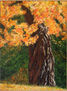 Otoño
