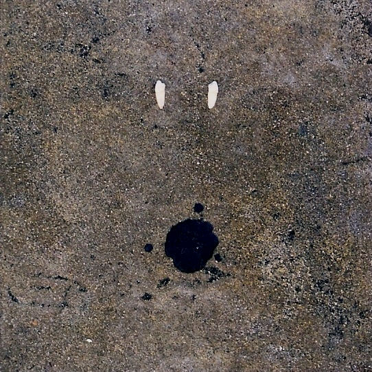 vestigos