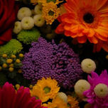 Nature / Naturaleza thumbnail 2