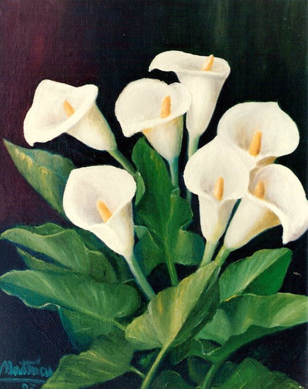 Calas - I - Oil Canvas Floral Painting