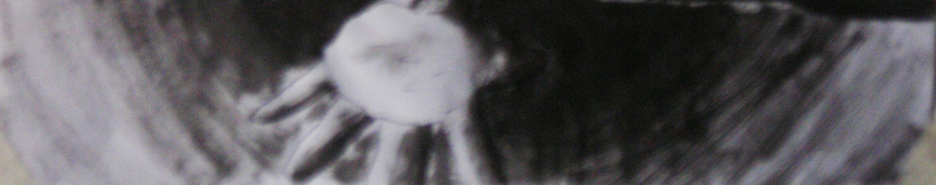 Imagen de portada