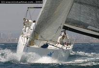 2003 - V Regata...