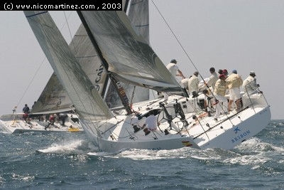 2003 - V Regata...