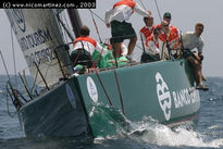2003 - V Regata...