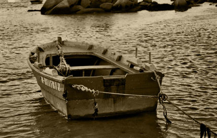 Soledad