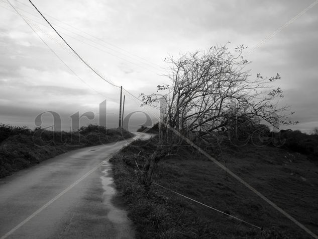 CAMINO AL MAR Nature Black and White (Digital)