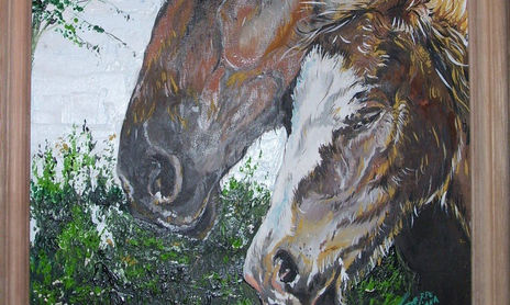 caballos