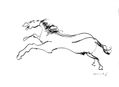 caballo