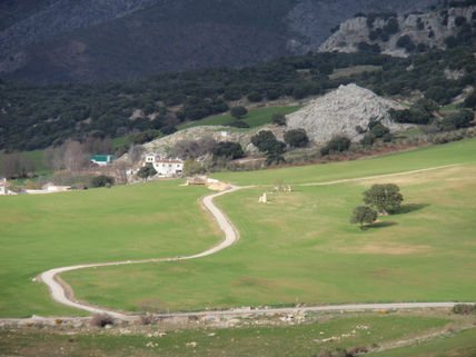 Caminos..