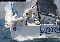 2003 - VII Semana...
