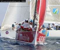 2003 - VII Semana...