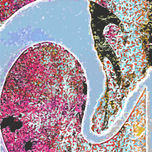 Monocopias thumbnail 1