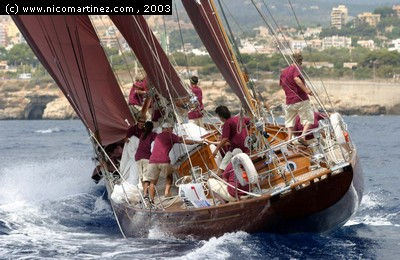 2003 - XIX TROFEO ALMIRANTE CONDE DE BARCELONA - 8