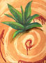 Agave 10