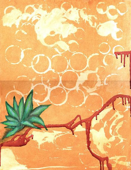 Agave 2