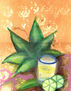 Agave 3