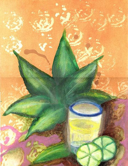 Agave 3