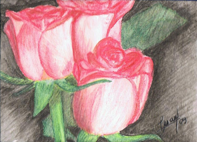 Rosas rosas Watercolour Paper Floral Painting