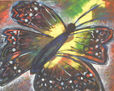 MARIPOSA