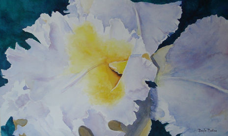 FLORES