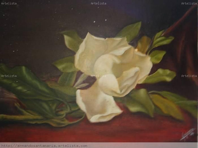 magnolia