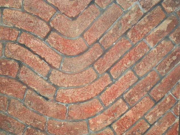 obra vista torta