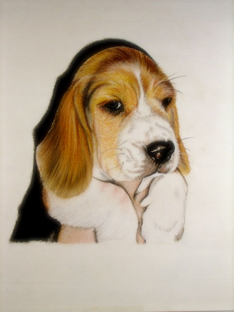 CESAR