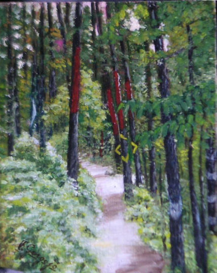 bosque de Oma