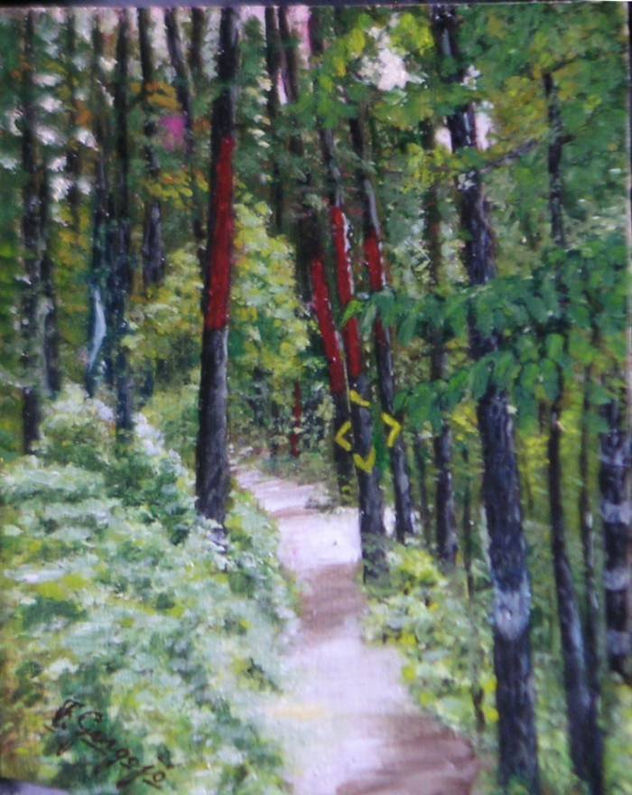 bosque de Oma