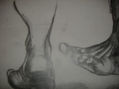 pies
