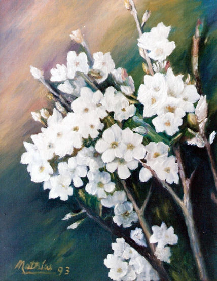 Flores de Cerezo