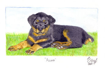Azuka