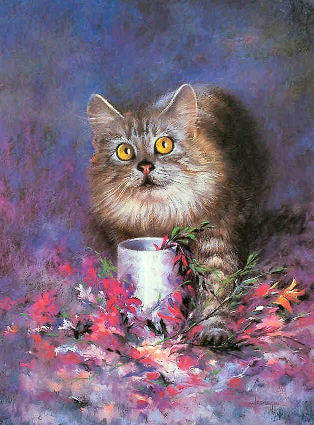 cat didn't do it