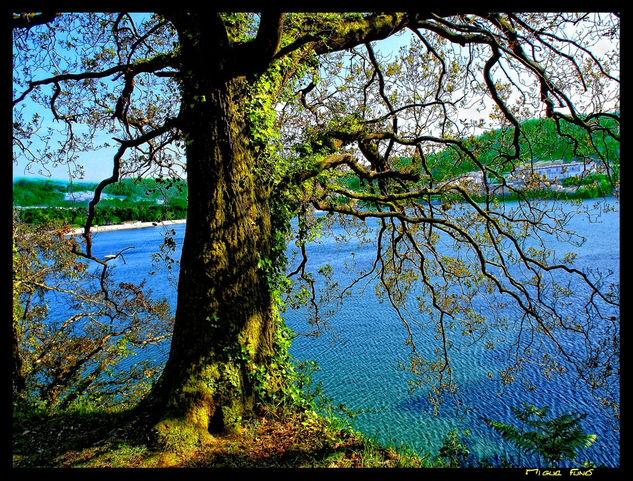 Playa de Cabanas - A Coruña Viajes Color (Digital)