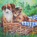 animales thumbnail 2