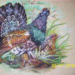 animales thumbnail 1