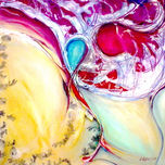 forma-trans-forma thumbnail 1