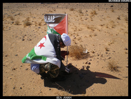 Sentimiento de bandera