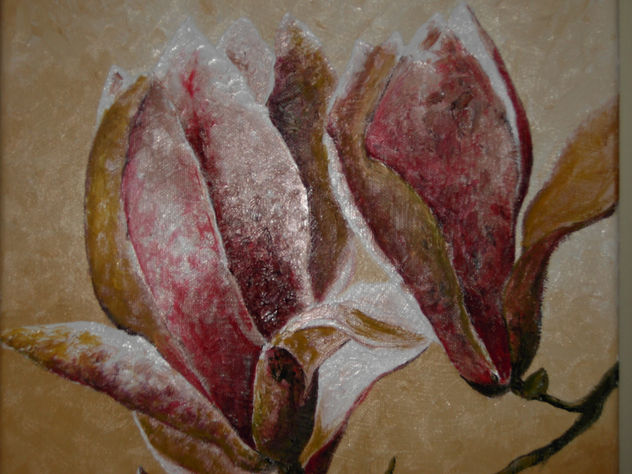 magnolia 1