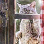 Animales thumbnail 2