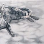 Animales thumbnail 1