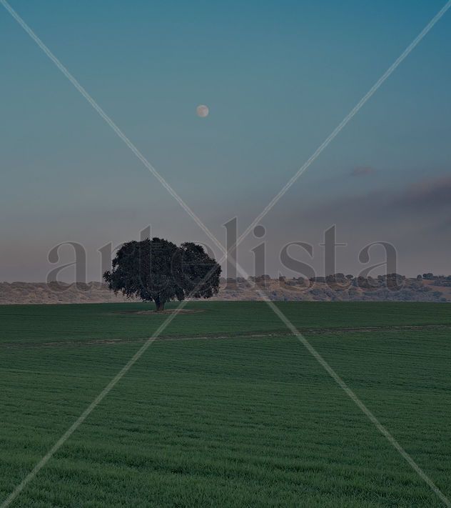 luna sobre campo