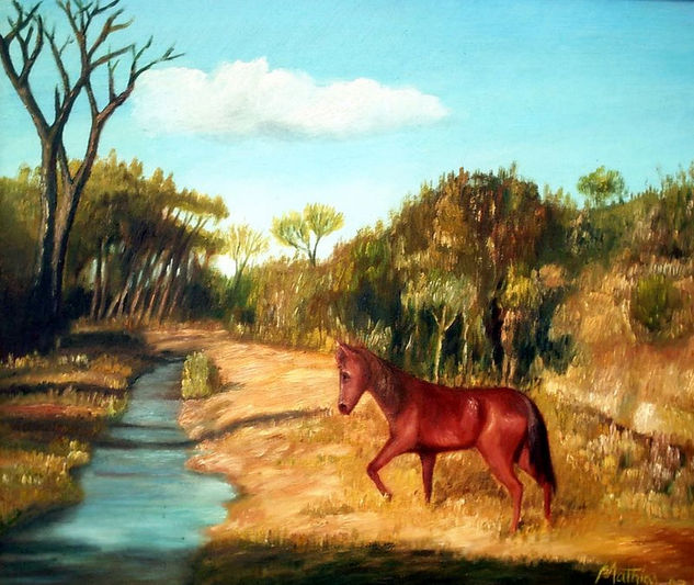 Potrillo Oil Canvas Landscaping