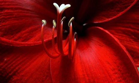 Naturaleza