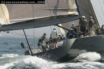 2004 - Maxi Race...
