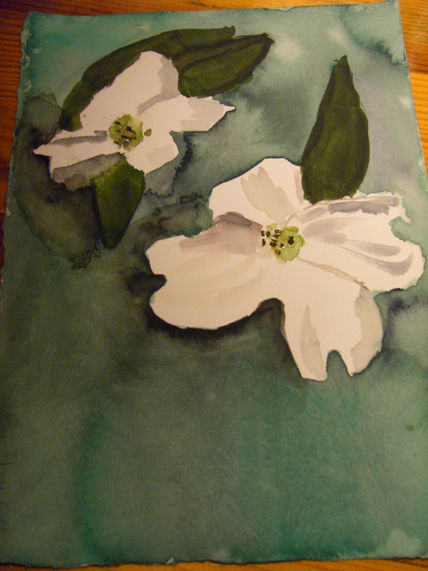Flores blancas