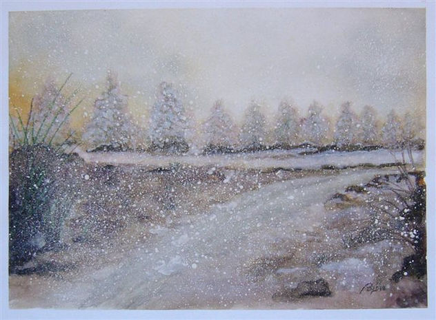 PAISAJE NEVADO 3